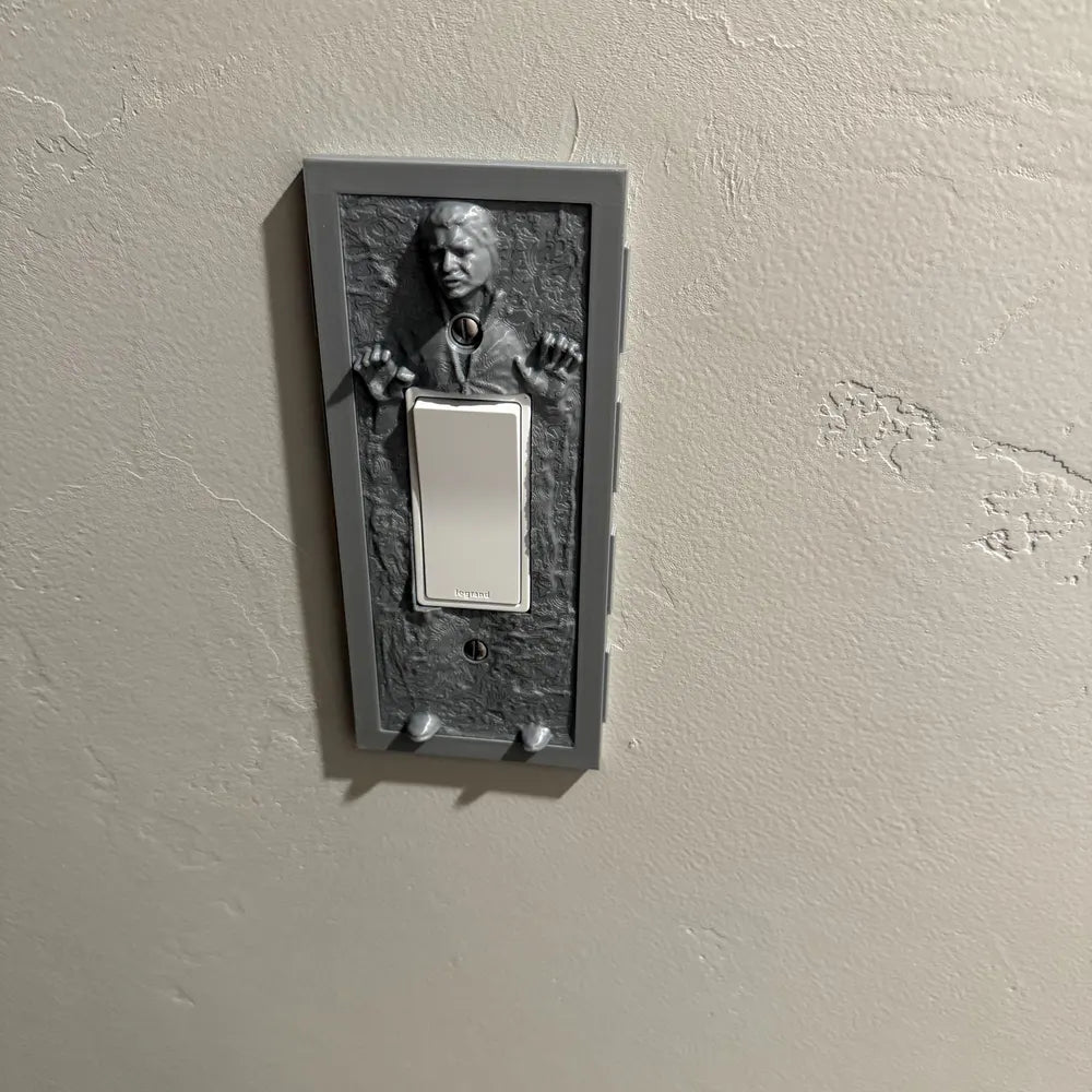 Skywalker’s™ Carbonite Light Switch